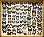 missiemuseum steyl 5-2022 3214